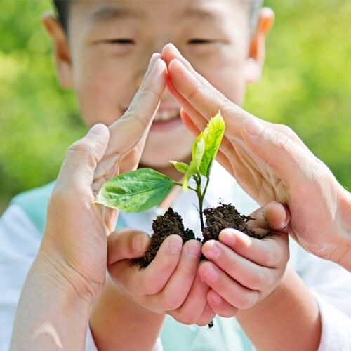 On-going Support After Start-Up